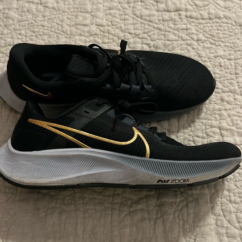 Nike Pegasus